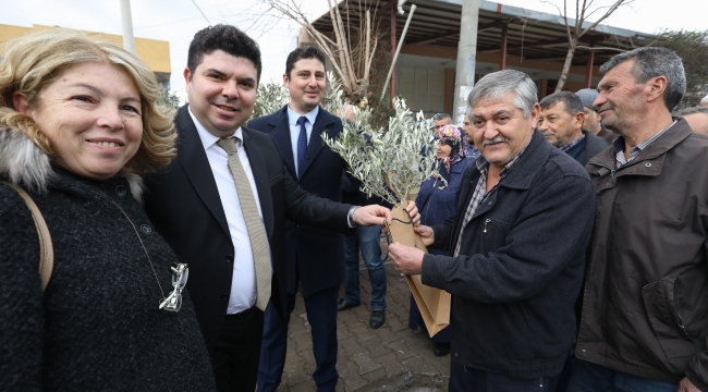  Buca'nın akciğerlerine 1800 zeytin fidanı 