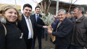  Buca'nın akciğerlerine 1800 zeytin fidanı 