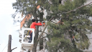 Çiğli Belediyesi'nden 10 Binlik Rekor