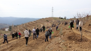 Kampanyanın İlk Fidanları Toprakla Buluştu