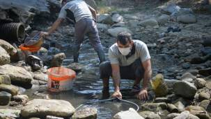 Su birikintisinde mahsur kalan balık yavruları kurtarıldı