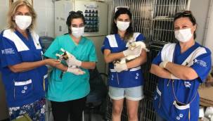 Can dostlarımıza HAYTAP desteği 