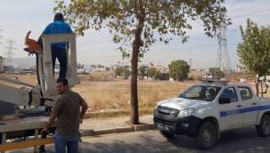 Zabıtalardan kedi operasyonu