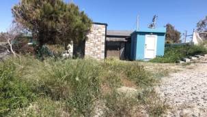 Çeşme de Çevre Katliamı!