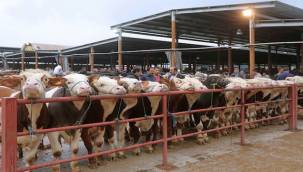 Bornova'da Kurban Satış Yerleri Hazır