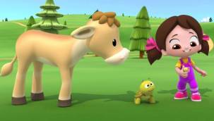 Niloya'dan Hayvan Sevgisi Mesajı