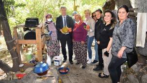 Bornova'da Zeytin Yetiştirme Teknikleri eğitimi