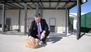 Sandal'dan "Bakım Merkezi" müjdesi