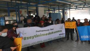 Başkan Atabay: Zeytin Ağaçları Bizim Topraklarımızın Hazineleridir