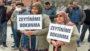 "Zeytin ağaçlarının yok edilmesi asla kabul edilemez"