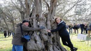 "Zeytinime Dokunma" Savaşı Devam Ediyor