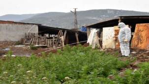 Kemalpaşa'da larva ile mücadele sürüyor