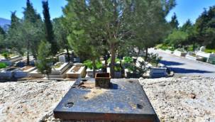 Mezarlık hırsızlarının verdiği zarar 250 bin lira oldu