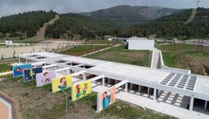 Sokak hayvanları kampüsü açılıyor