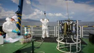 Hedef yüzülebilir Körfez