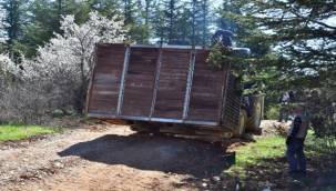 Sasalı'nın geyikleri doğaya kavuştu