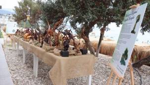 Ardıç'ın gizemi heykeller ile ölümsüzleşti