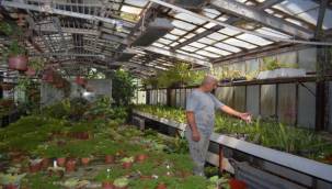 Ege Üniversitesinin endemik tür cenneti: "Botanik Bahçesi"