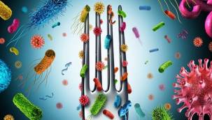 Talatpaşa Laboratuvarlar Grubu ...