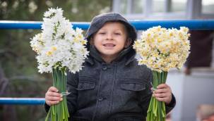 Binlerce İzmirli 5. Karaburun Nergis Festivali'nde Buluştu