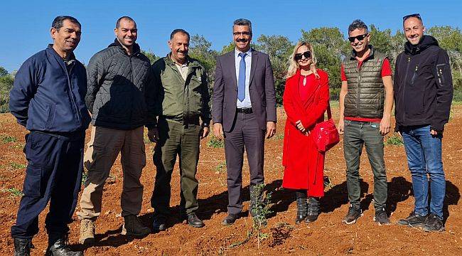 Çeşme Sakızının Kıbrıs'a Yolculuğu