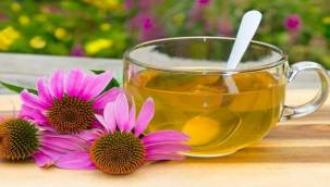 Hangi rahatsızlıkta hangi bitkiden yararlanılmalı?