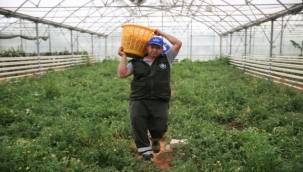 9 NOKTADA 15 BİN KİŞİLİK İFTAR YEMEĞİ