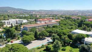 Ege'de 4 bin 236 adet ağaç kurtarıldı