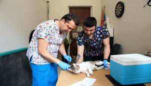 Konak'taki can dostlar için aşı mesaisi