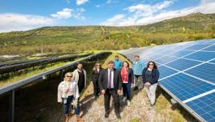 Güneş'ten Gelen Bereket