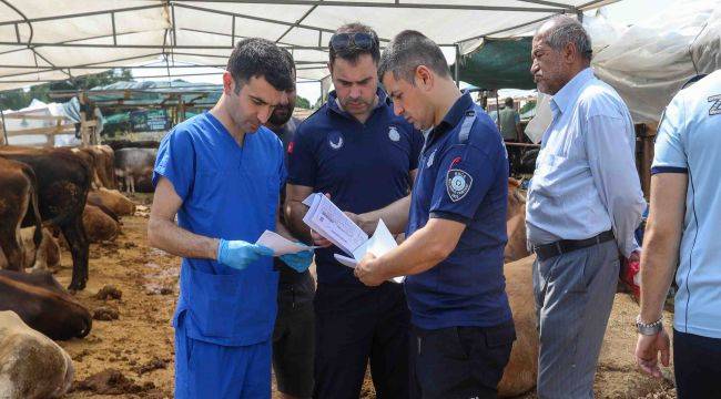 -Buca Belediyesi'nde Kurban Bayramı Mesaisi