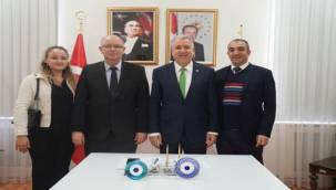 Kanserin Tedavisinde Kullanılacak Yeni Nesil Moleküller Geliştiriliyor