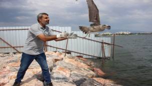 Yorgun martılar Karşıyaka'da emin ellerde!