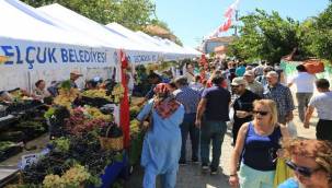 Efes Selçuk Gökçealan'da Üzüm Şenliği Var 