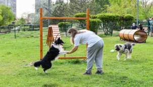 CHP'li Çiçek'ten Can Dostlara Özel Projeler