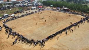 KEMALPAŞA'DA BOĞA GÜREŞİ FESTİVALİ