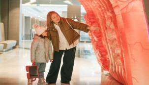 Kolon kanserinin görülme sıklığı artıyor!