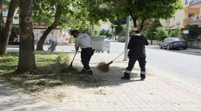 Efes Selçuk'ta Çalışmalar Büyükşehir İş Birliği İle Hız Kazandı