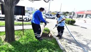 İzmir Büyükşehir Belediyesi ilaçlama çalışmalarına hız verdi