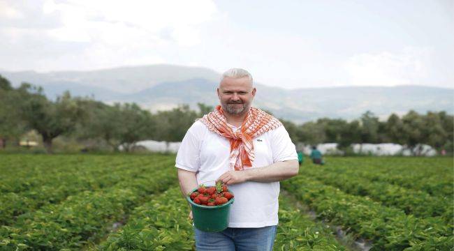 Emiralem Çileği, On Binleri Buluşturacak