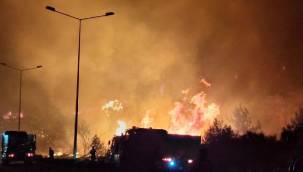 Başkan Tugay, Selçuk'ta yangın bölgesinde incelemelerde bulundu