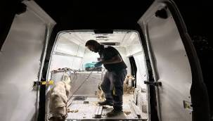 Buca Belediyesi yangının ortasında kalan canlara kucak açtı