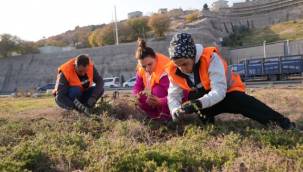 Kuraklığa karşı İzmir'in yeşil örtüsünde dönüşüm