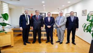 Danimarka İş Birliği