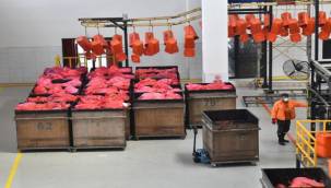 Evsel Atığa Dönüştürülüyor