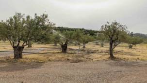 Çiftçilerin Çilek Hasadına Katıldı