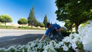 İzmir'e yazlık dokunuş