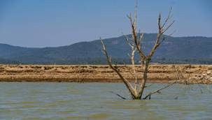Barajlardaki doluluk oranı kritik seviyede