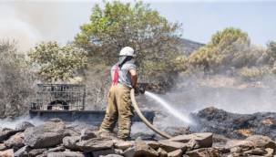 Tarım ve orman alanları zarar gördü