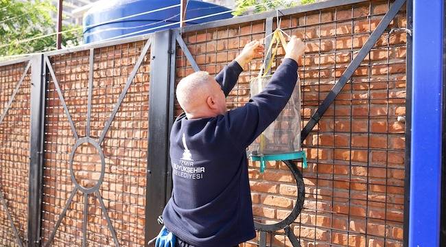 İzmir'de Karasinekle Yoğun Mücadele